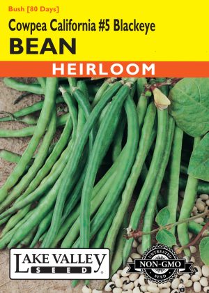 Bean Cowpea California Blackeye NO. 5
