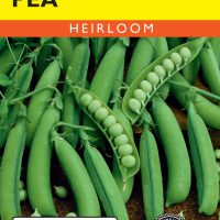 Pea Little Marvel (Bush)