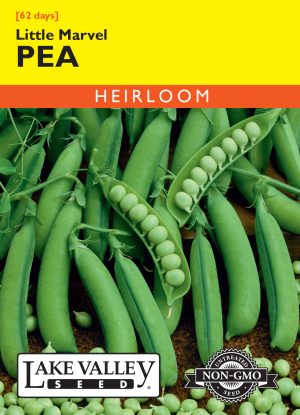 Pea Little Marvel (Bush)