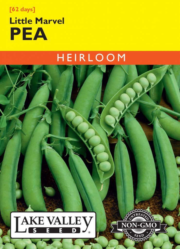Pea Little Marvel (Bush) Item 224 Lake Valley Seed