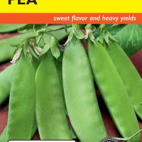 Pea Oregon Sugar Pod II