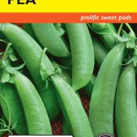 Pea Sugar Daddy Snap (Bush)