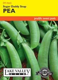 Pea Sugar Daddy Snap (Bush)