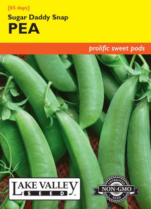 Pea Sugar Daddy Snap (Bush)