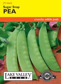 Pea Sugar Snap (Pole)
