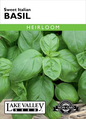 Basil Sweet Italian - Item #23