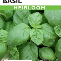 Basil Sweet Italian