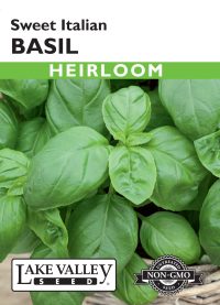 Basil Sweet Italian
