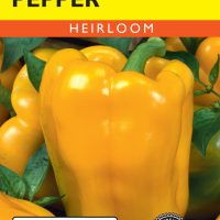 Pepper Sweet Sunbright Golden Bell