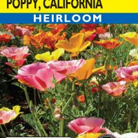 Poppy California Mission Bells