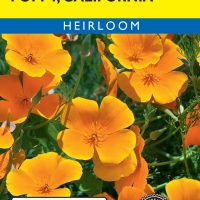 Poppy California Orange
