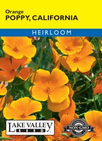 Poppy California Orange