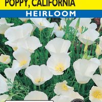 Poppy California White