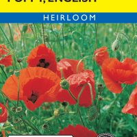 Poppy English Flanders Red