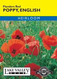 Poppy English Flanders Red