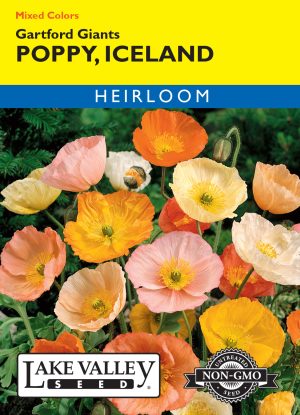 Poppy Iceland Gartfords