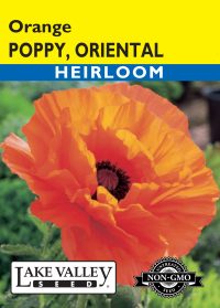 Poppy Oriental Orange