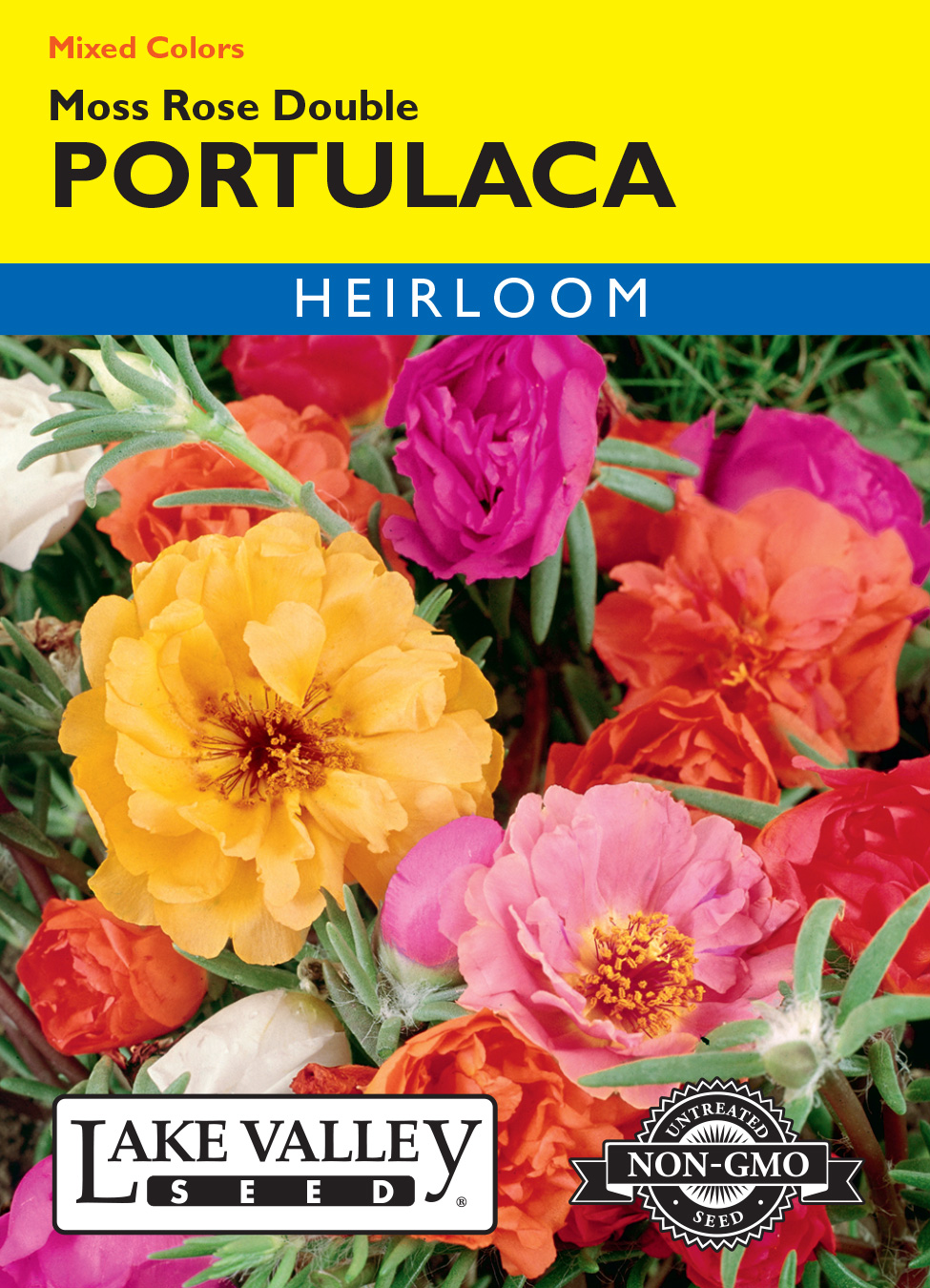 1000+ Moss Rose Double Mix Color Seeds – Portulaca Grandiflora, Buy 2 Get 1 Free, Uruguay