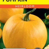 Pumpkin New England Sugar Pie