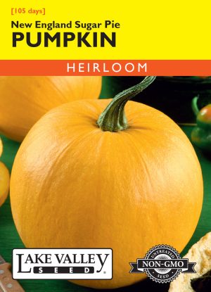 Pumpkin New England Sugar Pie