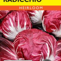 Radicchio Giulio - Item #255