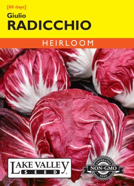 Radicchio Giulio - Item #255