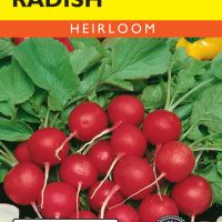 Radish Cherry Belle