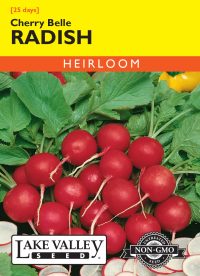 Radish Cherry Belle