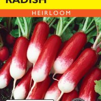 Radish French Breakfast