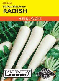Radish Daikon Minowase