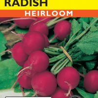 Radish Plum Purple