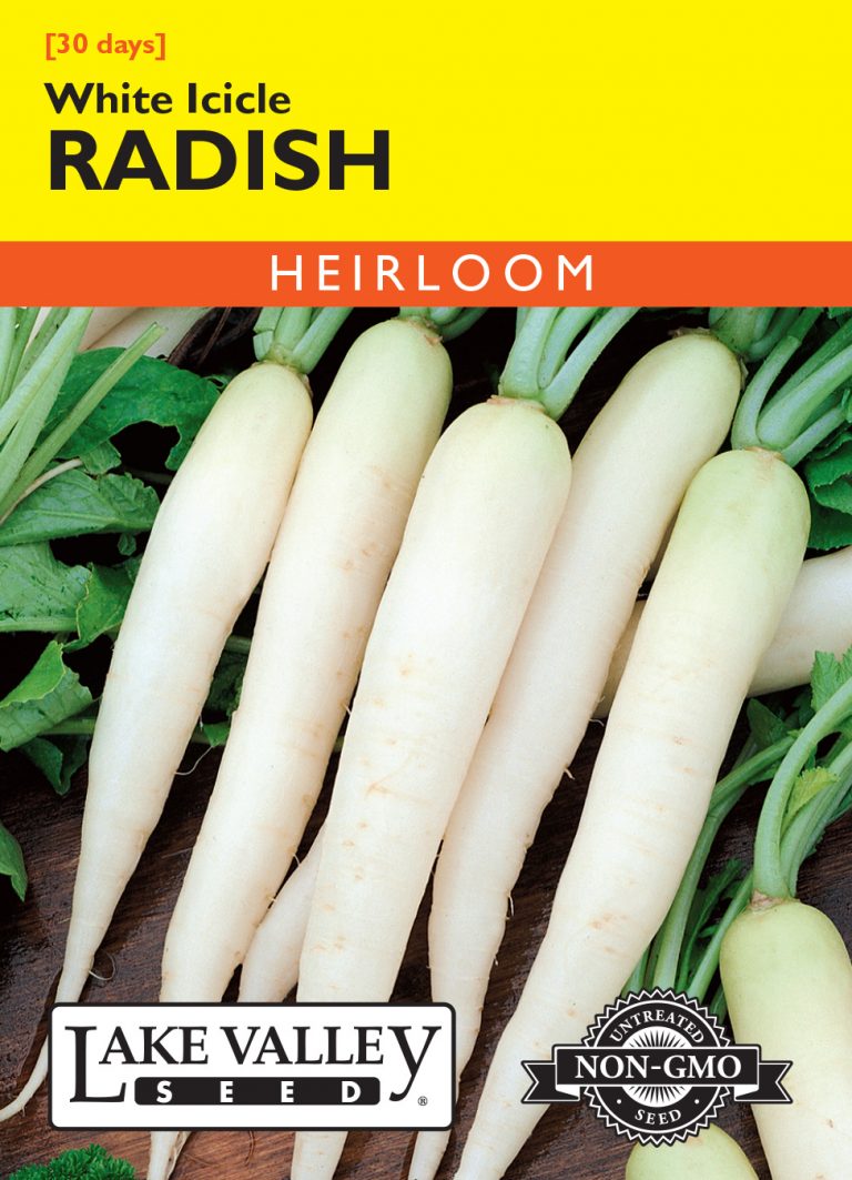 Radish White Icicle Item 260 Lake Valley Seed