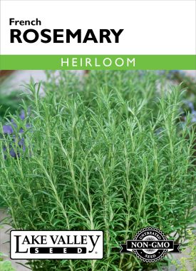Rosemary French - Item #263