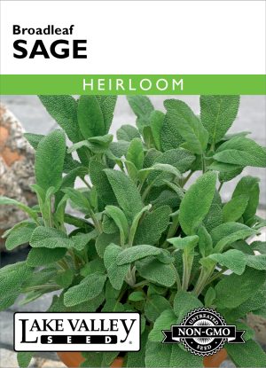 Sage Broadleaf - Item #267