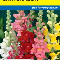 Snapdragon Tetra Giants