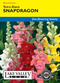 Snapdragon Tetra Giants