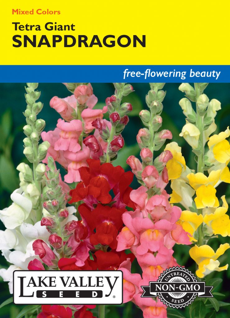 thumbnail image 2 of 300 Tetra Snapdragon Seed Mix – Non-GMO Heirloom, Free Shipping, Easy To Grow 2 of 2