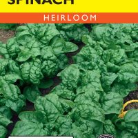 Spinach Bloomsdale Longstanding