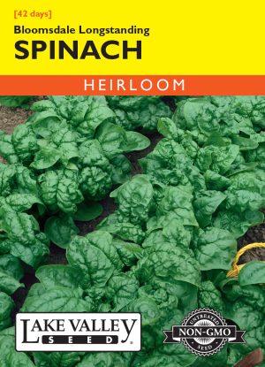 Spinach Bloomsdale Longstanding