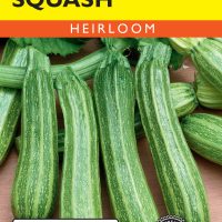 Squash (Summer) Cocozelle