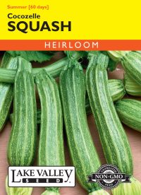 Squash (Summer) Cocozelle