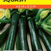 Squash (Summer) Black Beauty