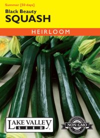 Squash (Summer) Black Beauty