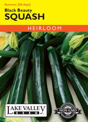 Squash (Summer) Black Beauty