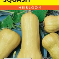 Squash (Winter) Waltham Butternut