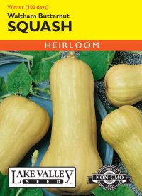 Squash (Winter) Waltham Butternut