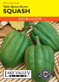 Squash (Winter) Table Queen Acorn