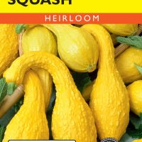 Squash (Summer) Early Yellow Crookneck