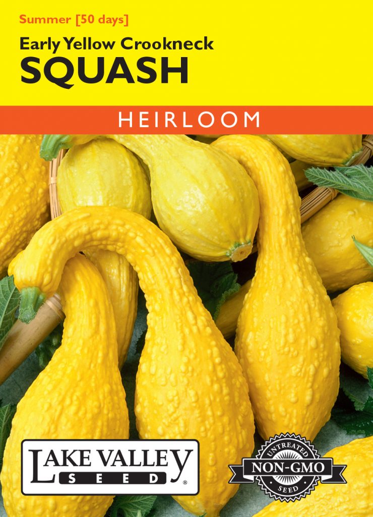 Squash (Summer) Early Yellow Crookneck Item 287 Lake Valley Seed