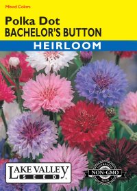 Bachelor's Button Polka Dot